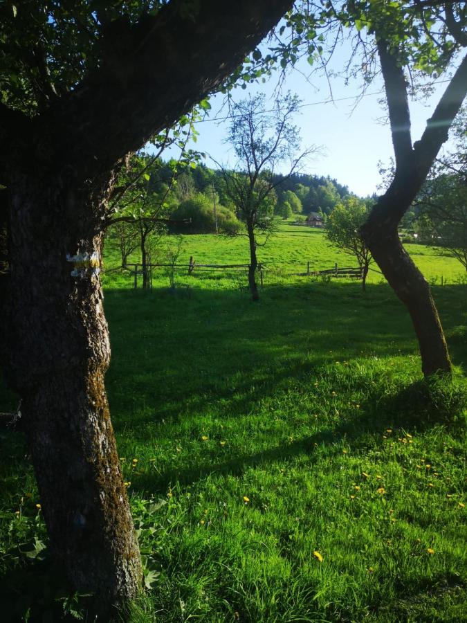 Dom Nad Stryszawka Z Balia I Sauna - Domek Wypoczynkowy Villa Stryszawa Exterior foto